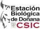 logo-EBD